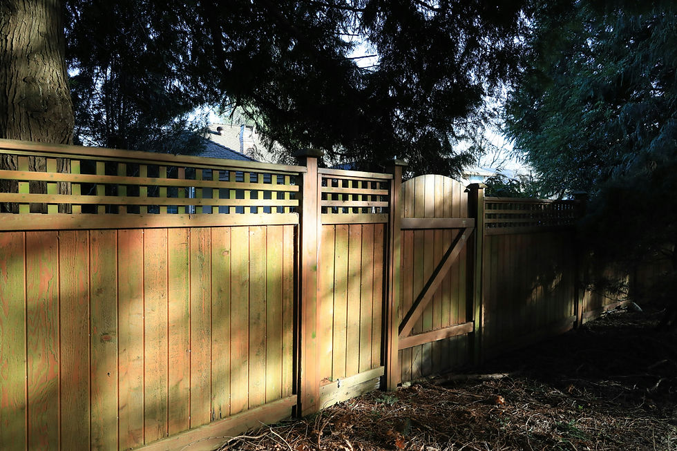 Sunlit wooden privacy fence and gate under tall trees, with a house roof peeking above; quiet suburban backyard scene.