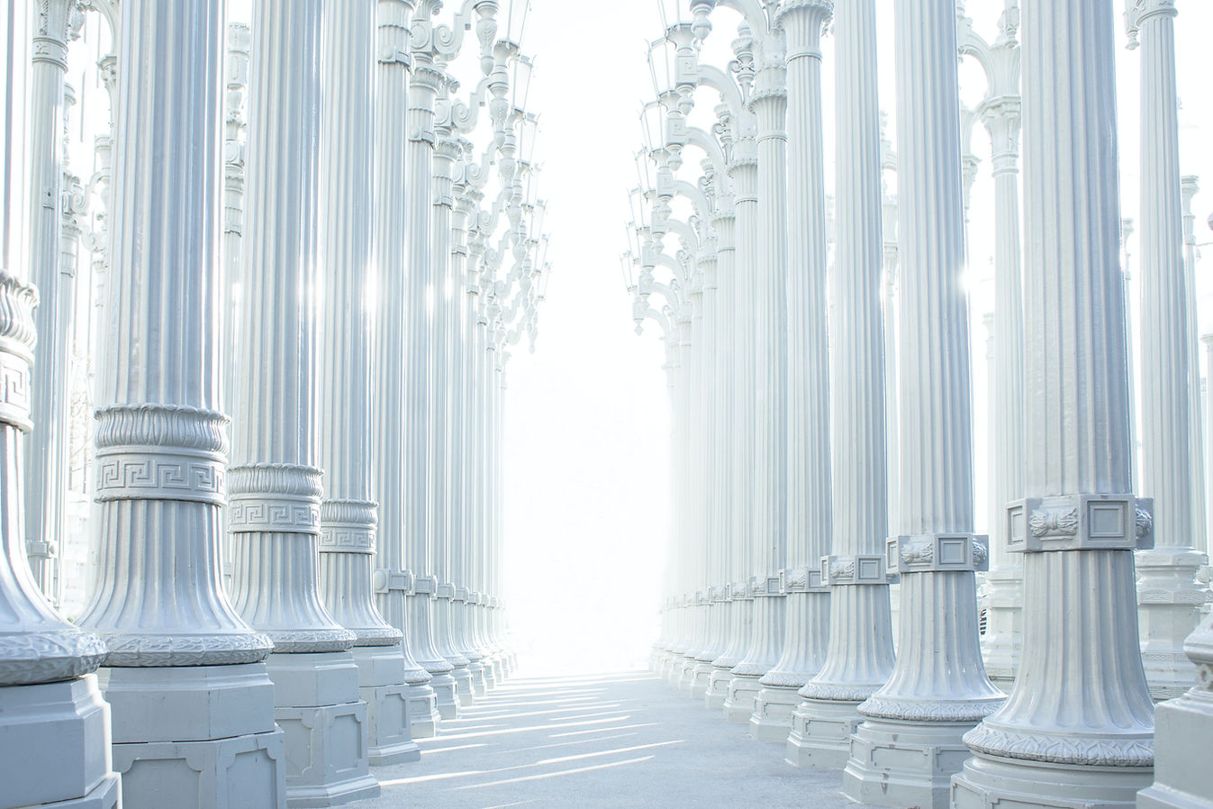 Image by Chris Brignola