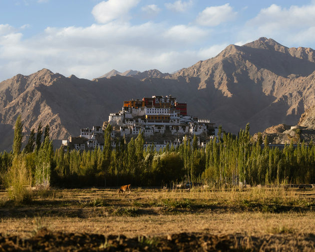 Monastero in Ladakh nella valle con montagne rocciose sullo sfondo e alberi verdi