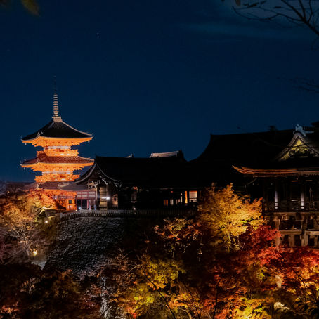 Why Visit Japan This Fall: Your Guide to Autumn Magic in the Land of the Rising Sun