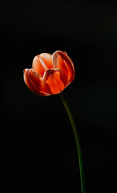 Image de insung yoon