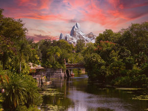 Protecting Congo’s forests: new timber parks will help fight illegal logging