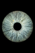 Image by Anastasiya Badun