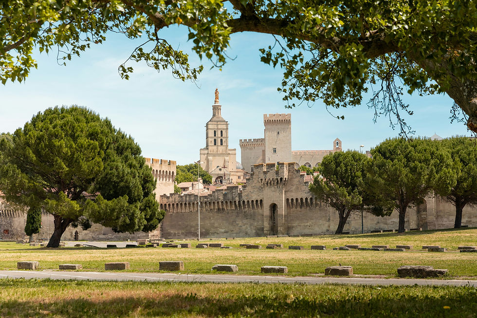Week-end de 4 jours à Avignon 