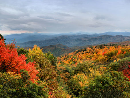 Why Fall Is the Best Time to Buy in Western North Carolina (Hint: It's Not Just the Leaves)