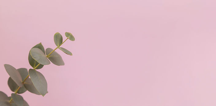 Image by Diana Polekhina