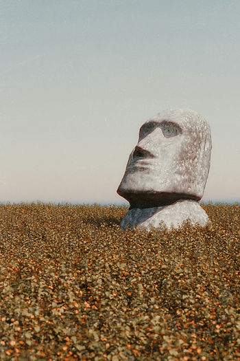 A stone statue in a field