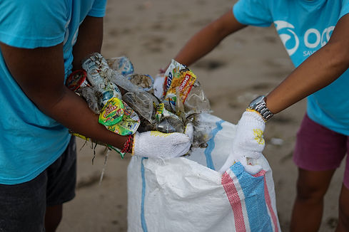 Image by OCG Saving The Ocean