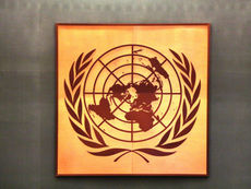 WHO Launches First Global Database Tracking Sexually Transmitted Infections