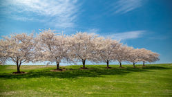 Glück - Frage der Perspektive