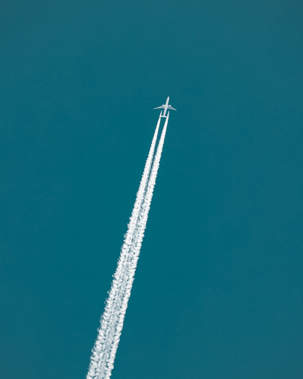 Image by Jake Nackos