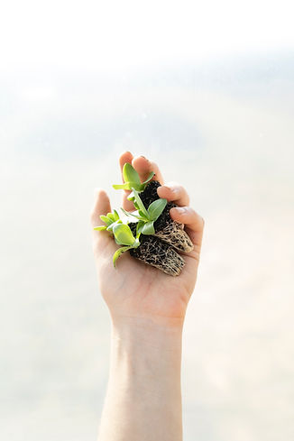 Image de Zoe Schaeffer