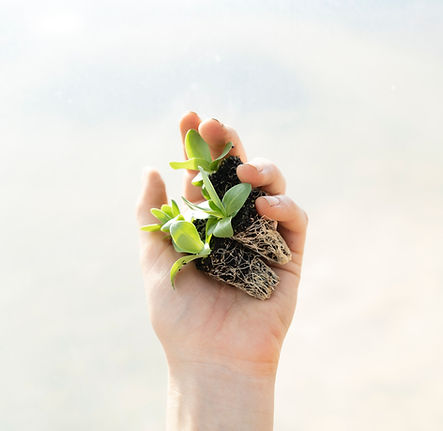 Image by Zoe Richardson