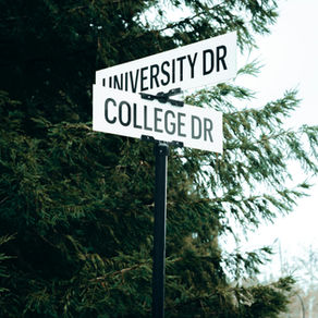 Are we forgetting what university is for?