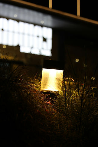 Image by Aditya Sethia