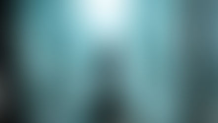 A year of virtual living has changed us