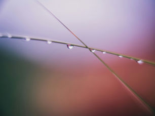Nervous System Regulation Through Acupuncture Techniques
