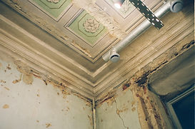Insurance for Mold Remediation