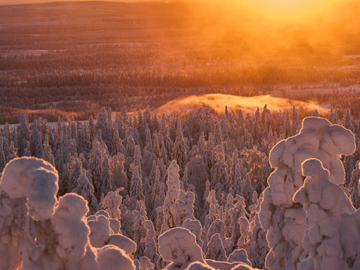 7.4.2026 - Vdor prihodnosti