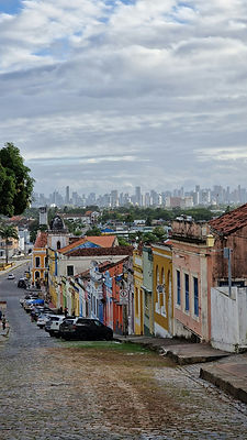 Coloured colonial buildings in front of a city skyline