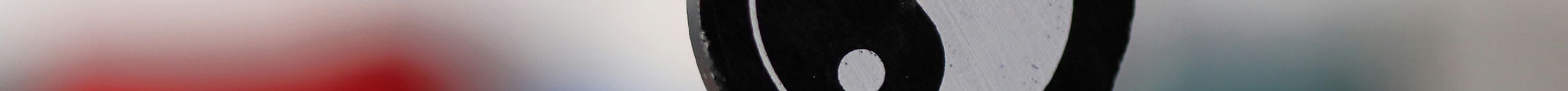 Image de Gabriel Vasiliu