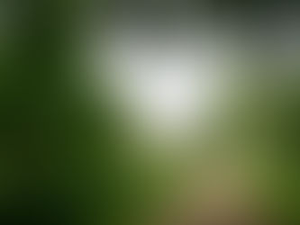 Tip #13 Focus op het proces en niet op de resultaten.