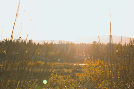 Image by Cole Freeman