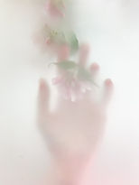 Image by Olga Drach