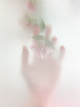 Image by Olga Drach