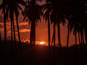 Ro, Landskab og Fællesskab – Foreningsrejse gennem Thailand