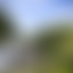 How Personalized Travel Planning Enhances Your Journey