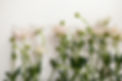 Image by Duong Ngan
