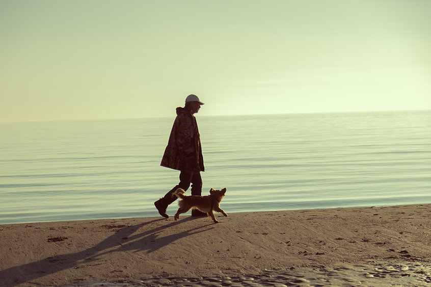 Image by meriç tuna
