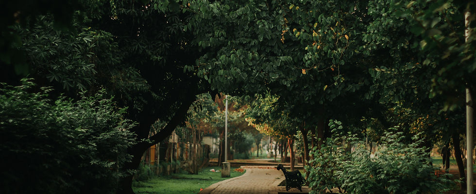 Image by Dollar Gill