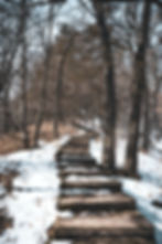 Women, Wellness, and Nature: December Group Walk