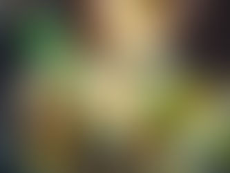 Chipotle Mexican Grill to Host Fundraiser in Support of Ann Storck Center