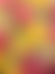 Citrus Essential Oils: Unveiling the Radiance of Your Skin