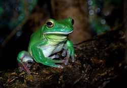 Image by David Clode