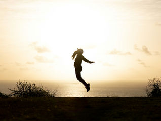 Somatic Pelvic Floor Practice | Pelvic Floor Rx | A Wild Paradigm Shift in Pelvic Health