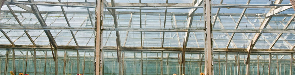 Greenhouse filled with thriving vegetables, herbs, and seedlings for year-round sustainable gardening.