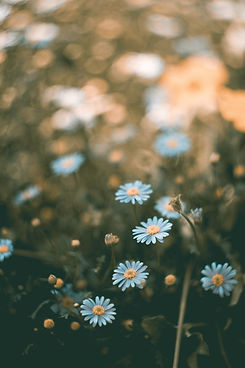 Image by Karina Vorozheeva