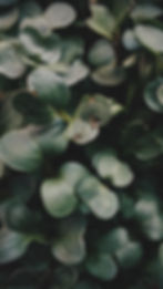 Image by Max Bovkun
