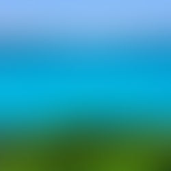 El Salvador capitaliza la Semana Santa mientras Honduras enfrenta críticas en la gestión turística