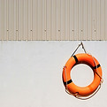 Image by Matthew Waring
