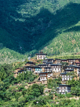 trip to Bhutan