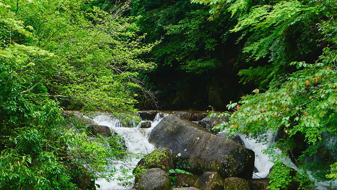 Miyajima Hiking Trails