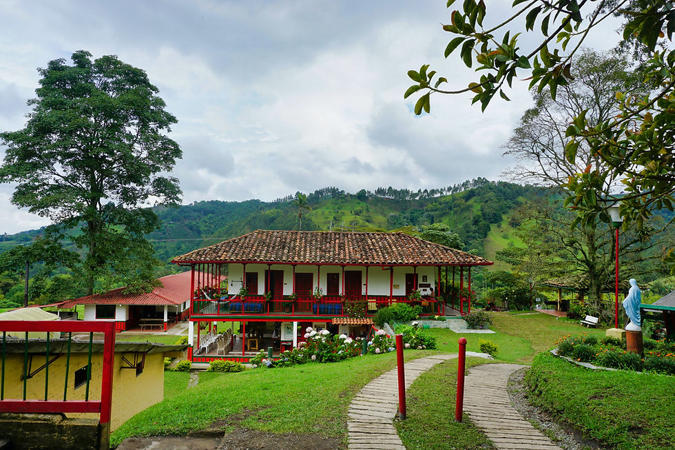 el ocaso coffee farm salento colombia