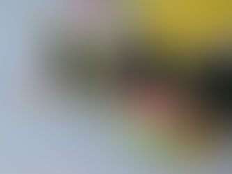 Iranian flag