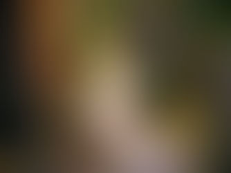 Core values are key to finding your life path