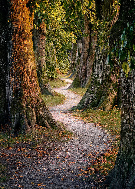 Image by Mario Dobelmann